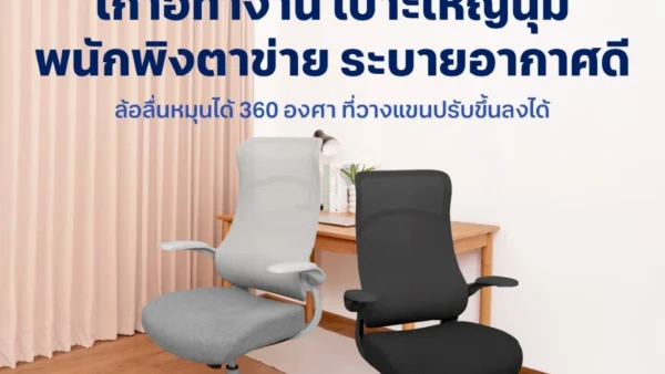 รีวิว Adam เก้าอี้เพื่อสุขภาพ นั่งสบายหายปวดหลัง ในราคาหลักพันที่คุ้มค่าที่สุด!